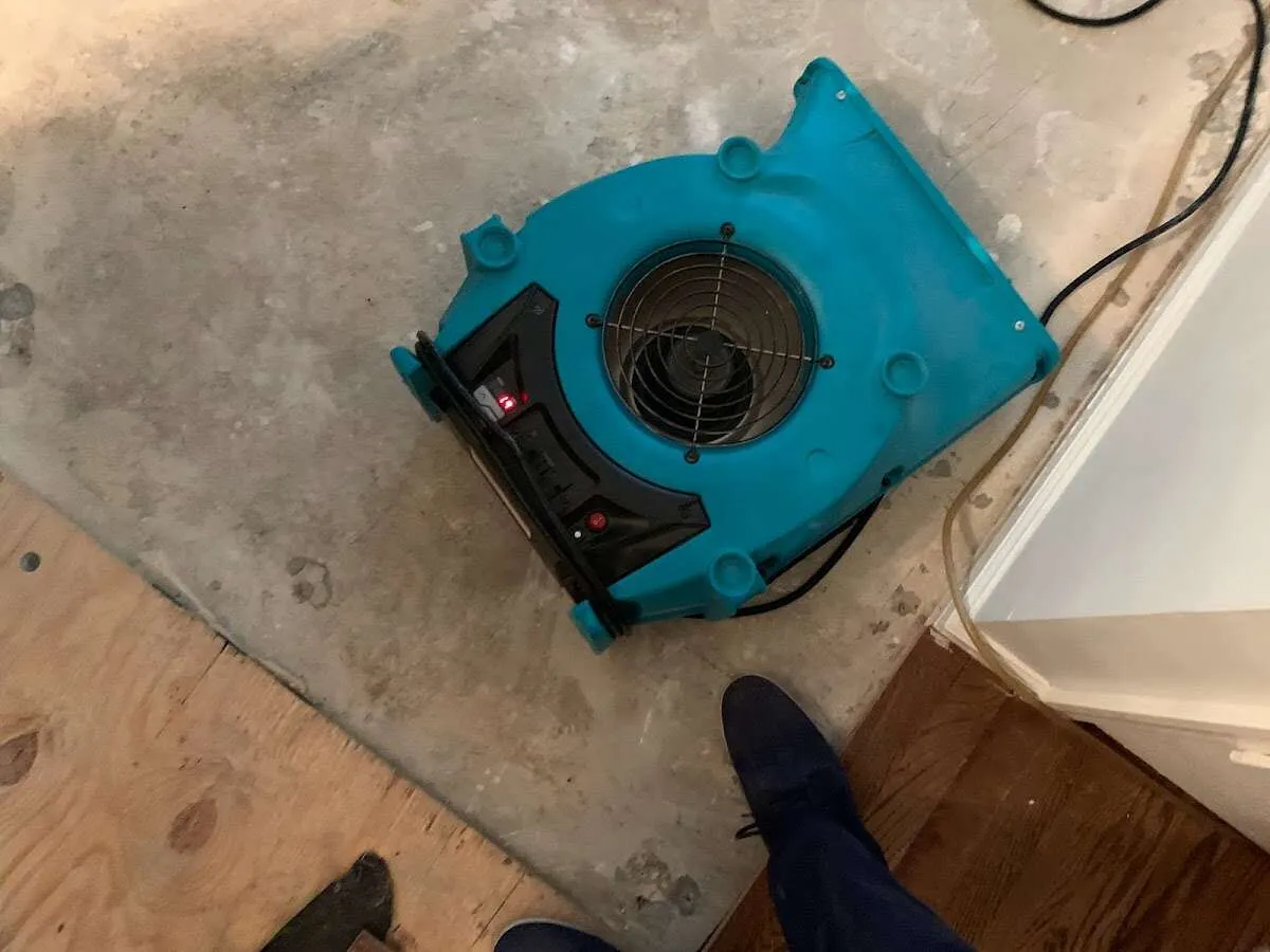 Air mover drying subfloor during Leak Detection & Repair in Kaufman